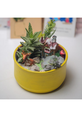 Terrarium