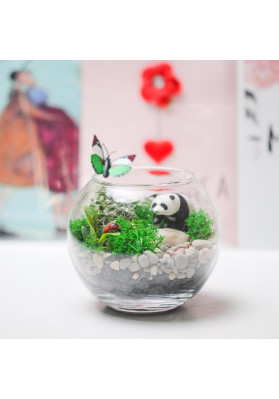 Terrarium