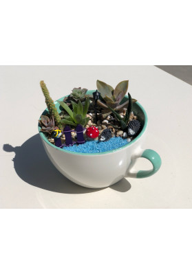 Terrarium 