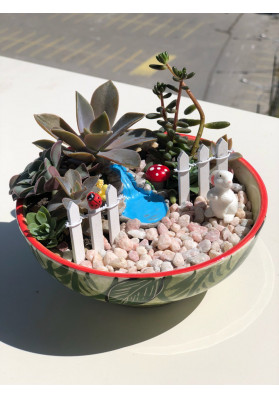 Terrarium 