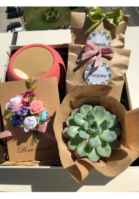 Gift Box